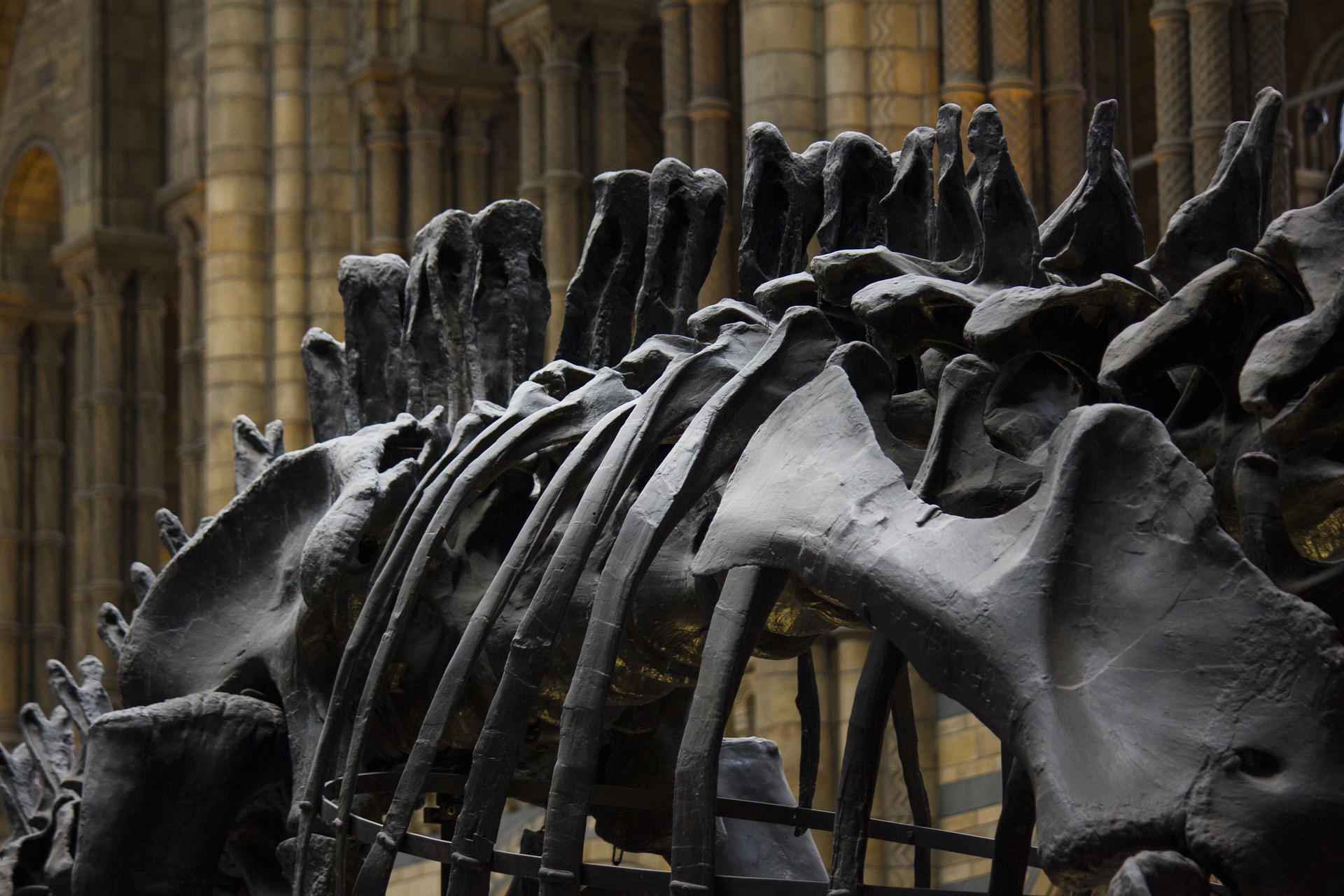 Sponsored: MSPs must adapt or become like dinosaurs — Part 2